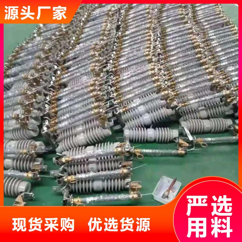 跌落式熔斷器戶外跌落式避雷器質(zhì)量無憂