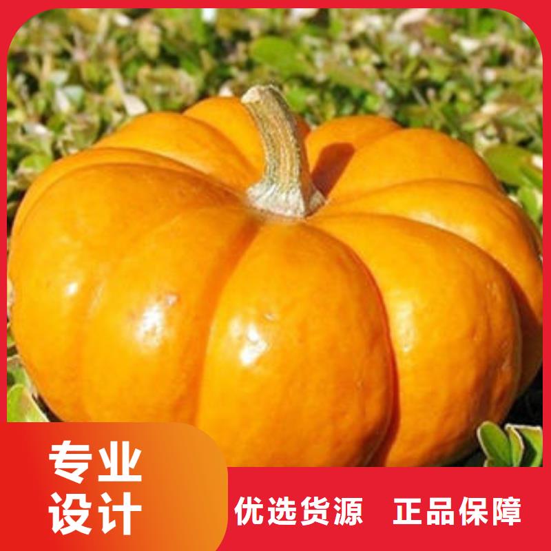 南瓜丁,葛根粉極速發(fā)貨