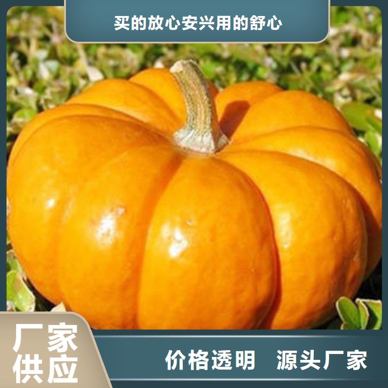 南瓜丁,葛根粉極速發(fā)貨