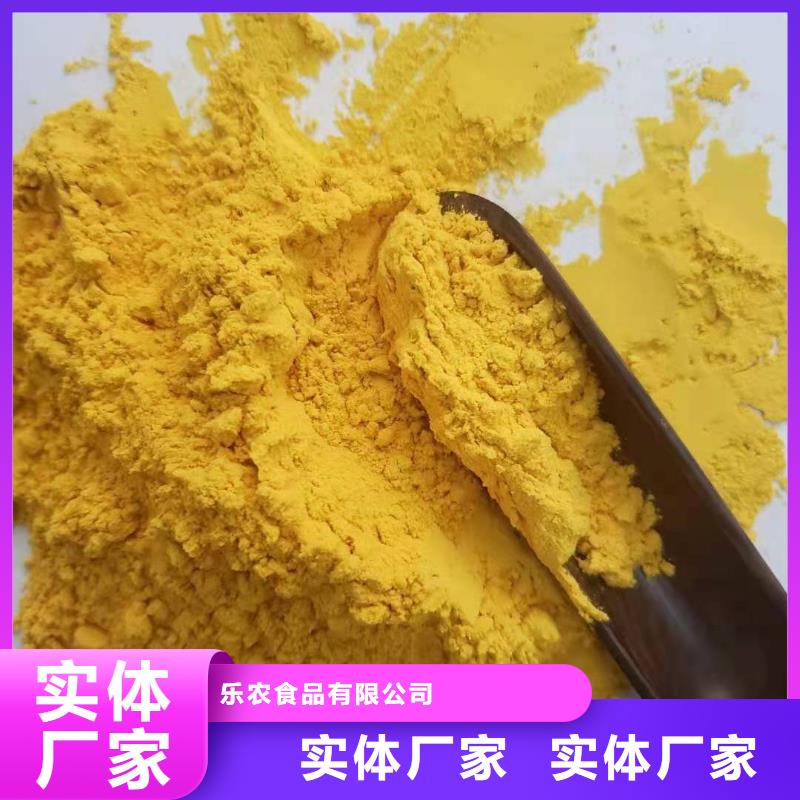 南瓜粉實(shí)體廠家