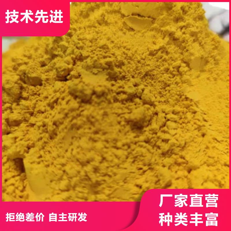 南瓜粉專業(yè)生產廠家