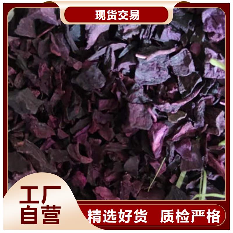紫地瓜丁购买