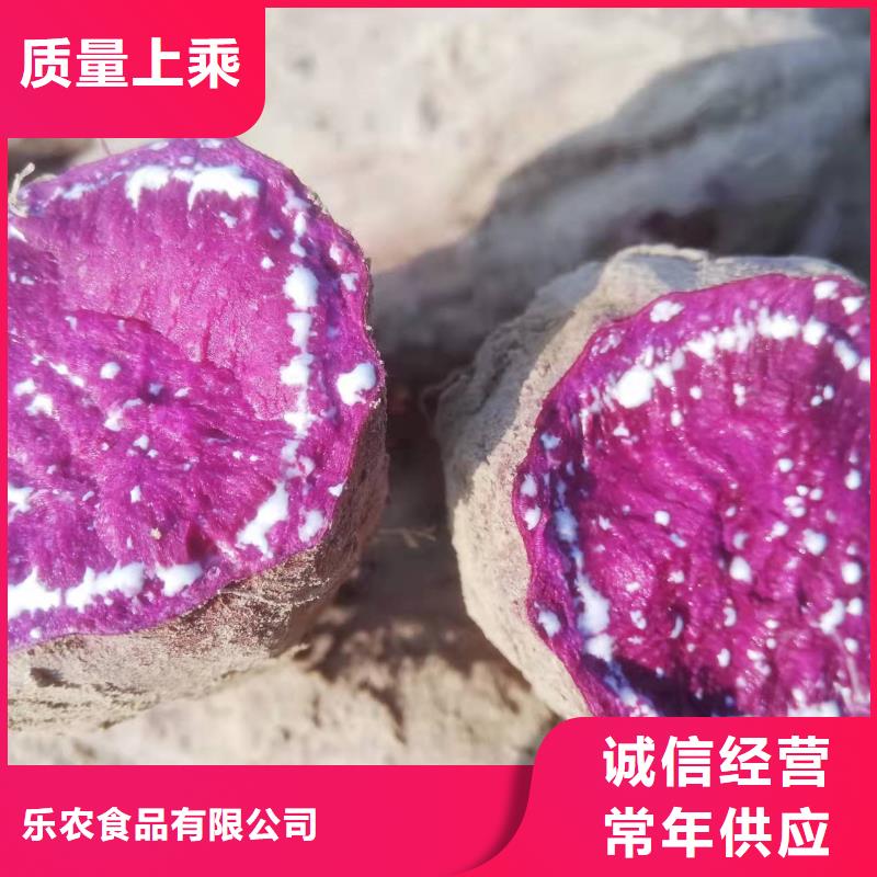 紫薯苗欢迎致电