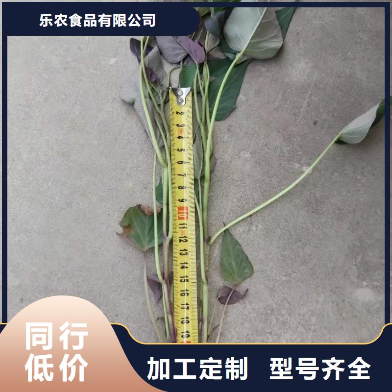紫薯苗多少钱一棵