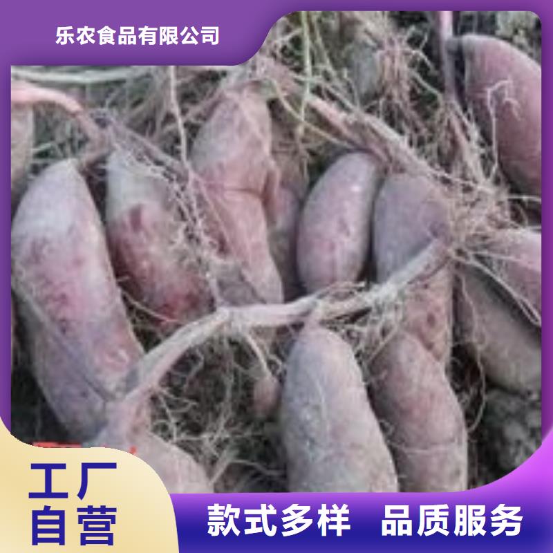 紫薯苗,南瓜丁厂家用心制作