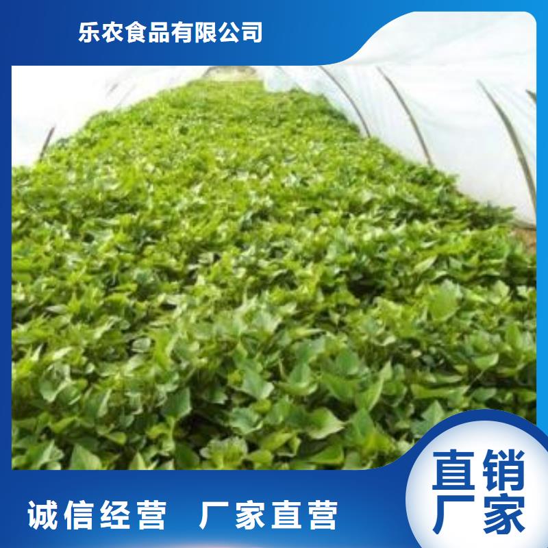 脫毒紅薯苗(西瓜紅)移栽機