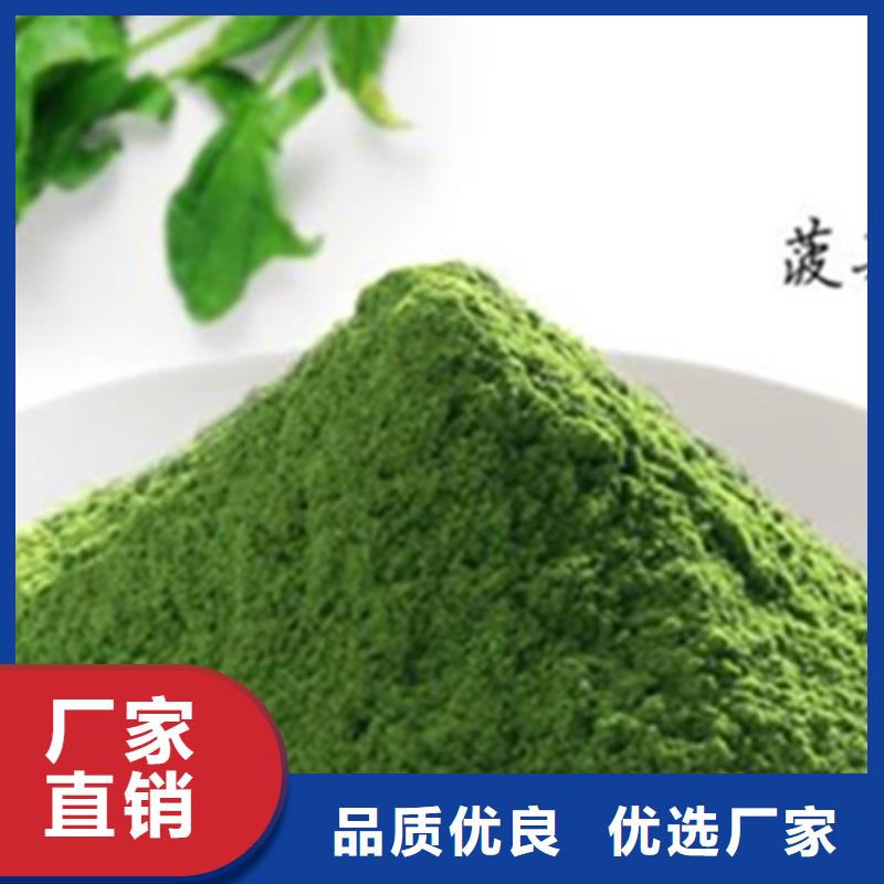 脫水菠菜粉批發(fā)