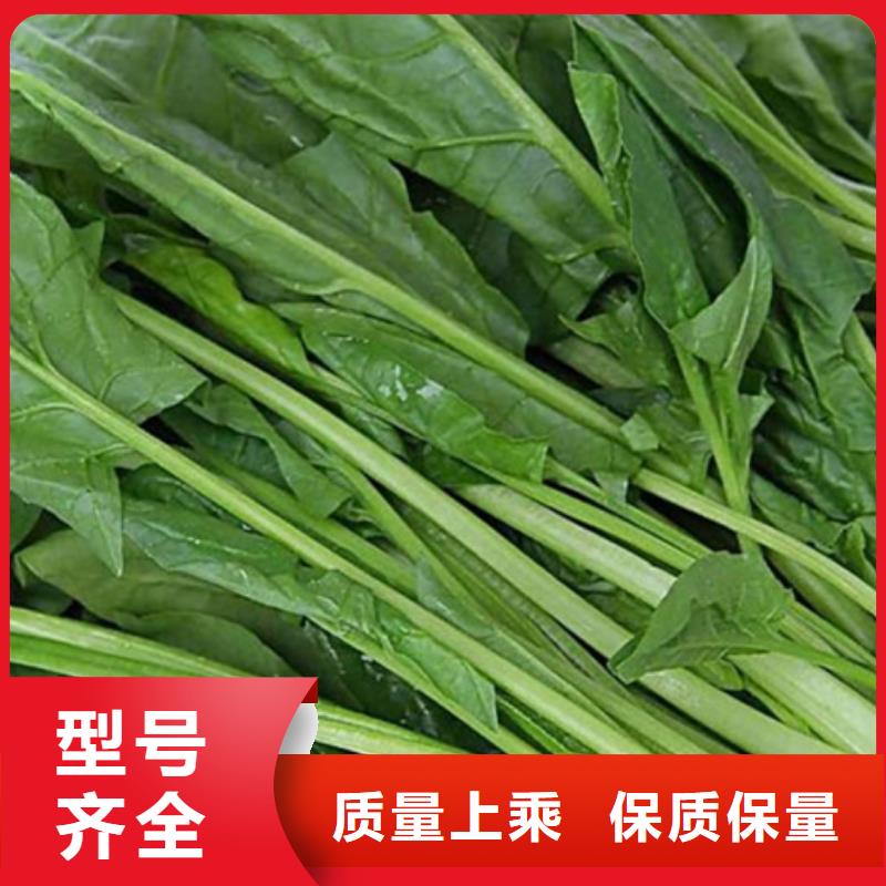 菠菜生粉购买