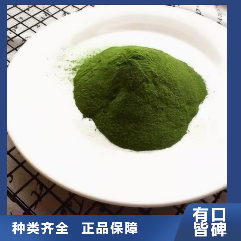 脫水菠菜粉規(guī)格齊全