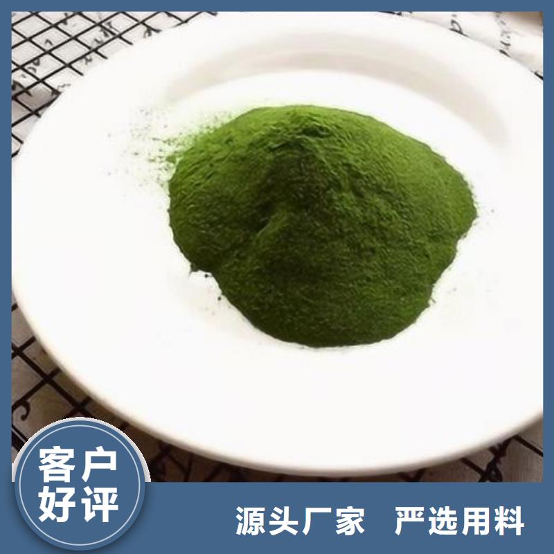 菠菜粉實(shí)體廠家