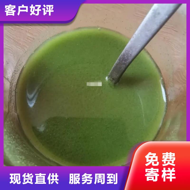 羽衣甘藍(lán)粉一手貨源
