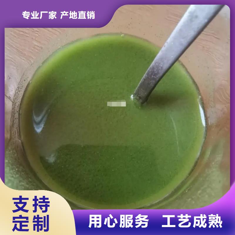 銷售羽衣甘藍粉廠家