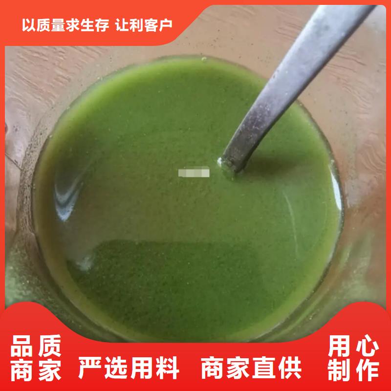 甘藍(lán)粉-生產(chǎn)廠家