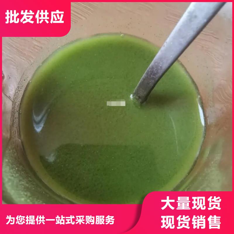 【圖】羽衣甘藍粉末批發(fā)