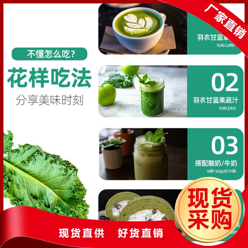 生產(chǎn)羽衣甘藍(lán)粉