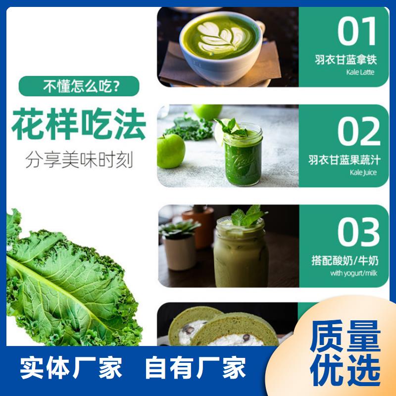 甘藍粉、甘藍粉出廠價