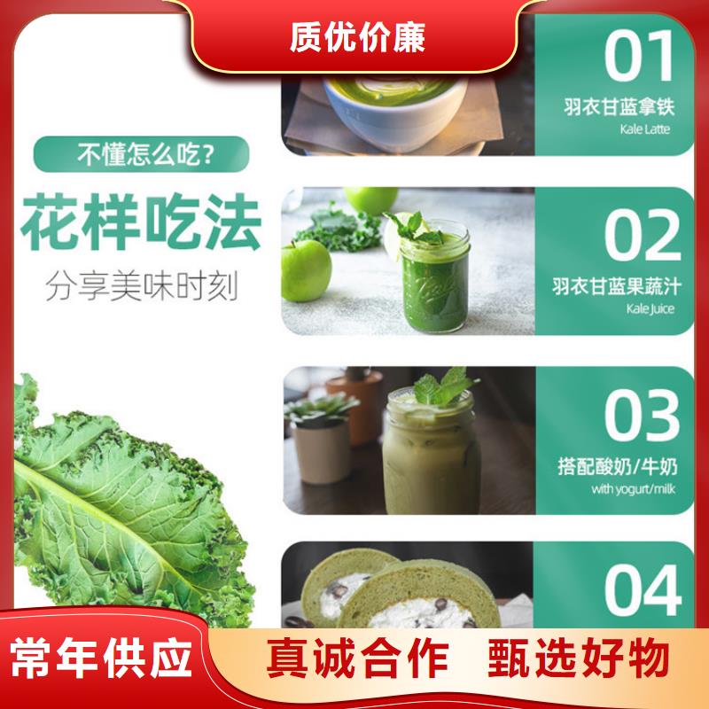 甘藍(lán)粉、甘藍(lán)粉廠家直銷-認(rèn)準(zhǔn)樂農(nóng)食品有限公司