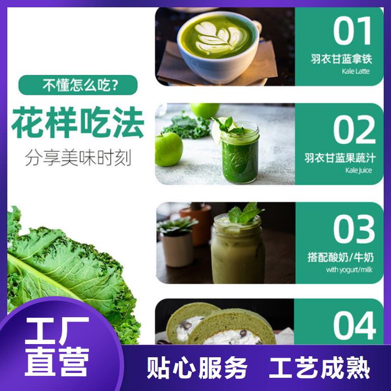 規(guī)模大的甘藍(lán)粉廠家