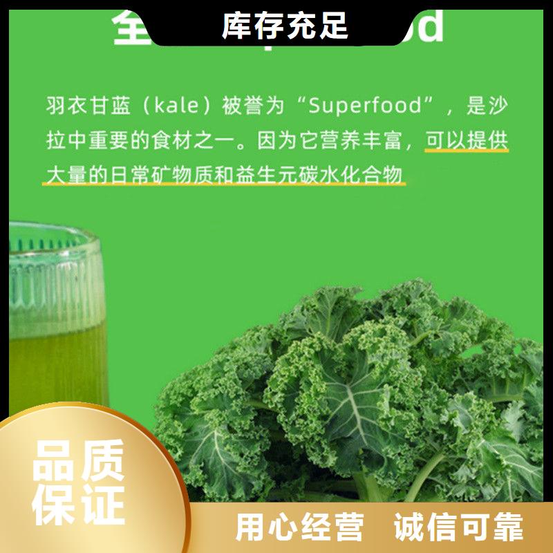 生產(chǎn)羽衣甘藍(lán)粉飲料_精選廠家