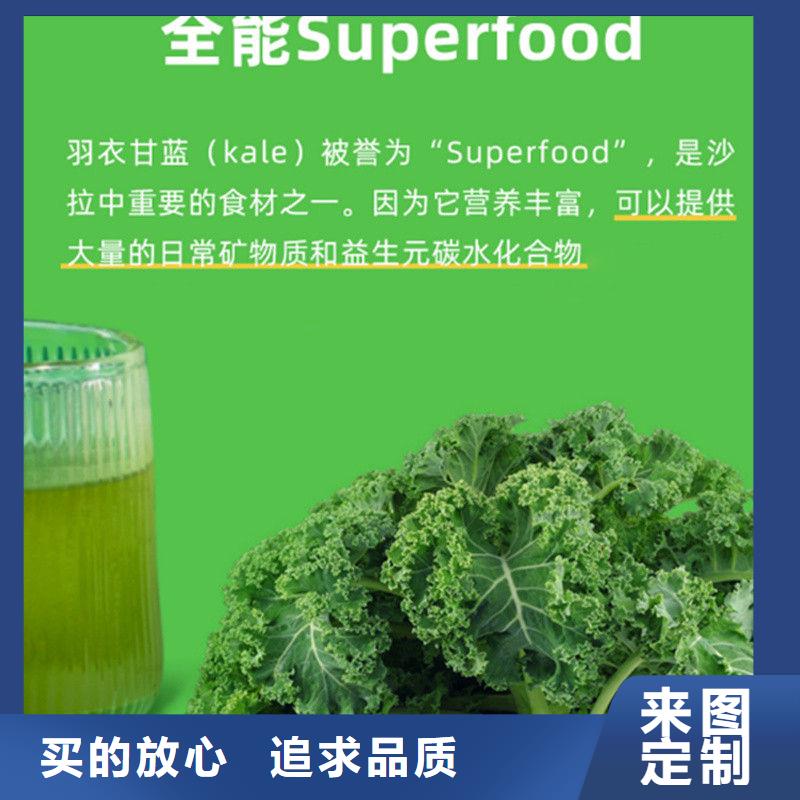 甘藍(lán)粉廠家定制