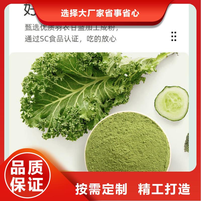 羽衣甘藍(lán)粉今日行情