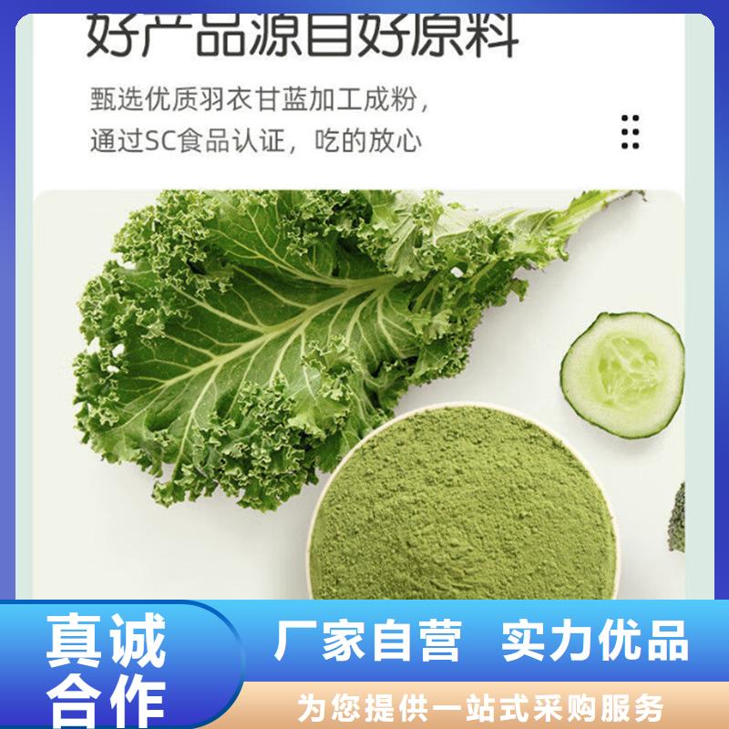 優(yōu)選：羽衣甘藍(lán)粉飲品實(shí)力廠家