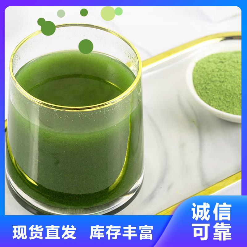 羽衣甘藍(lán)粉廠家供應(yīng)