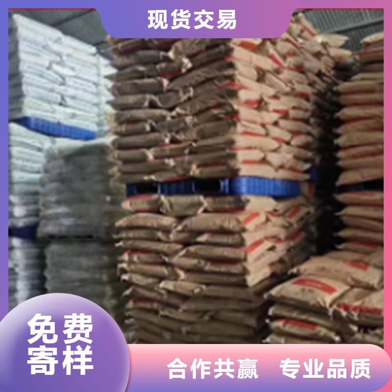 羽衣甘藍大廠家才可靠