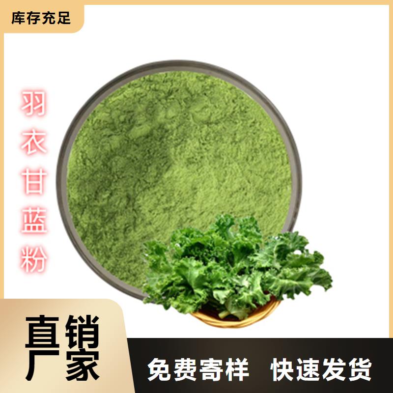 羽衣甘藍(lán)粉批發(fā)采購(gòu)