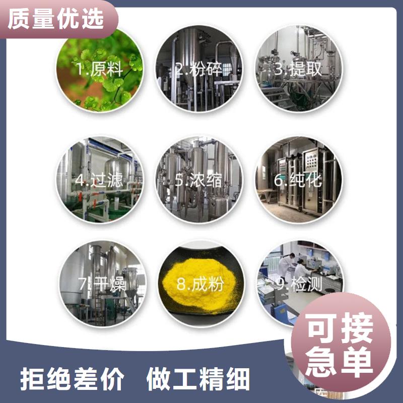 羽衣甘蓝粉饮品-品质保障
