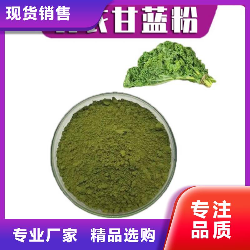 羽衣甘藍(lán)粉批發(fā)廠家