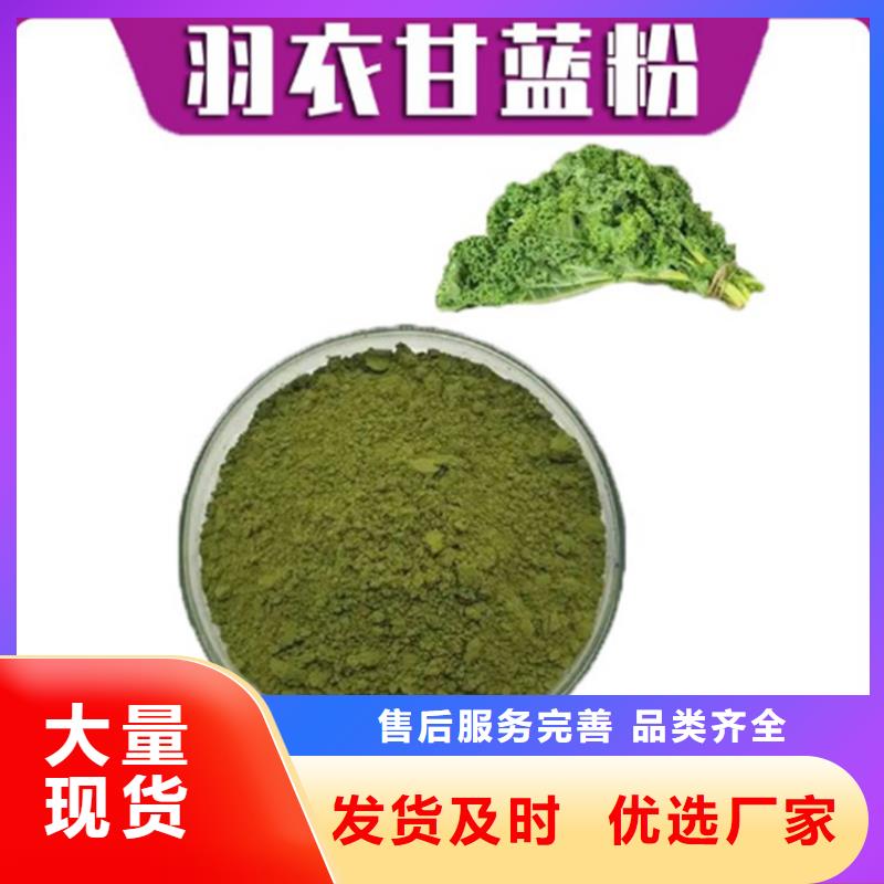 羽衣甘藍(lán)粉銷往全國