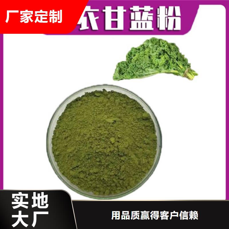 誠信為本羽衣甘藍(lán)廠家