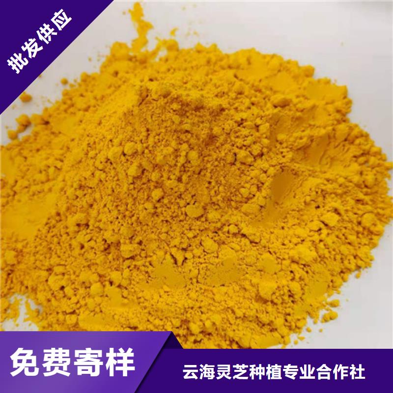 灵芝切片视频-河北省沧州市|献县|运河|保定|邢台|唐山|张家口灵芝切片-云海