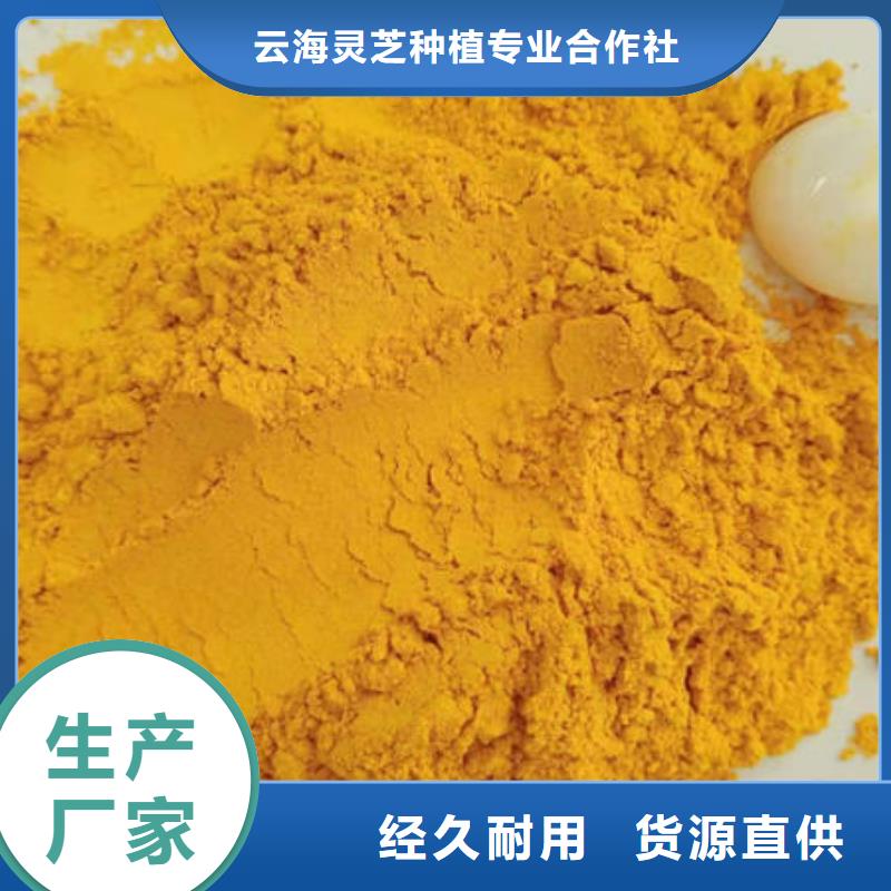 灵芝切片视频-河北省沧州市|献县|运河|保定|邢台|唐山|张家口灵芝切片-云海