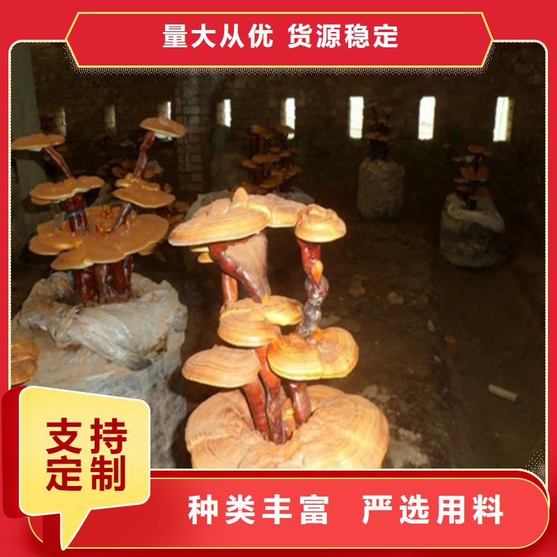 靈芝煲湯_歡迎致電