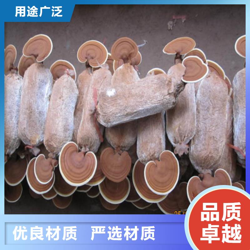 定做靈芝孢子粉的批發(fā)商