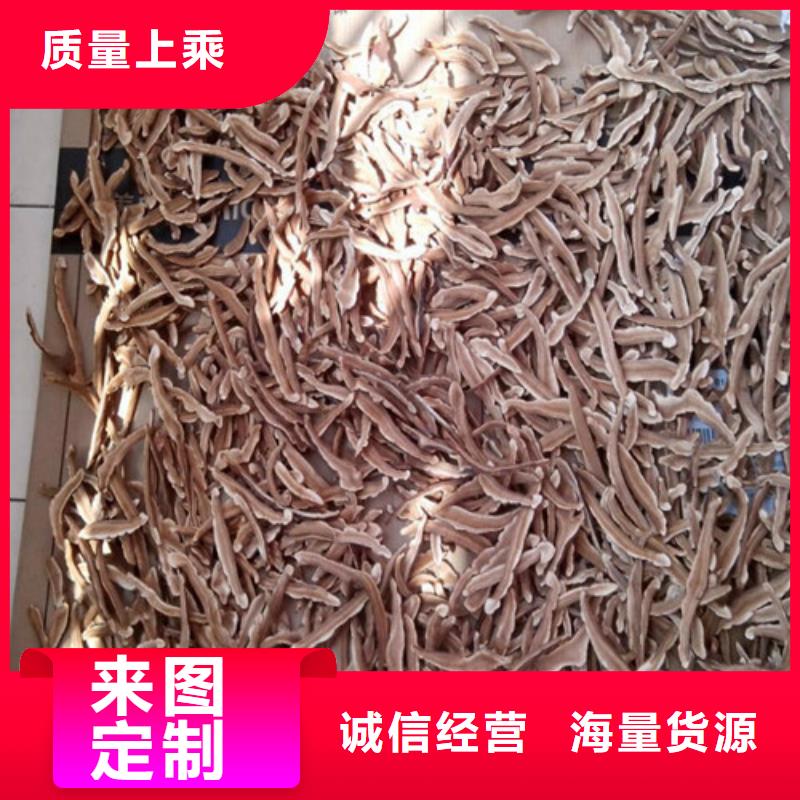 灵芝价格