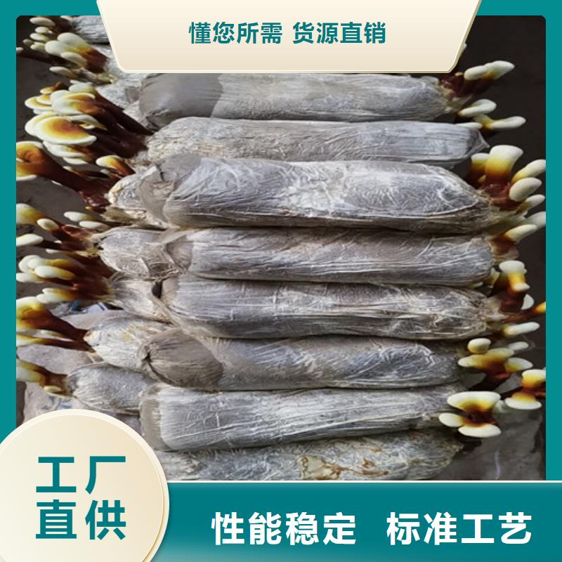 破壁靈芝孢子值得信賴