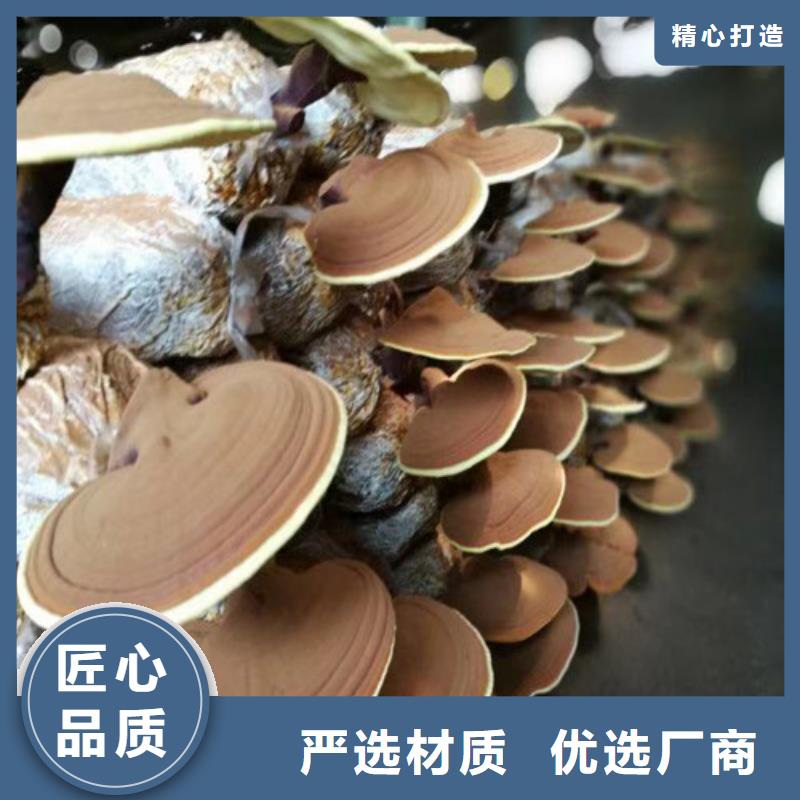 灵芝孢子粉型号齐全