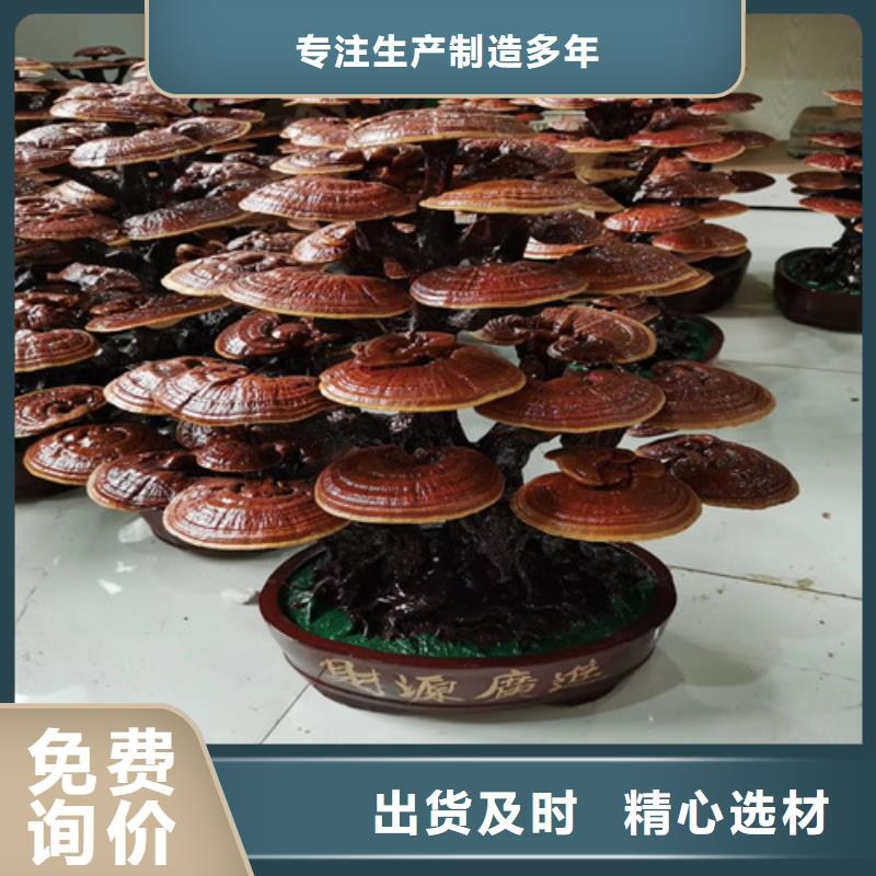 現(xiàn)貨供應(yīng)
孢子靈芝_誠(chéng)信企業(yè)