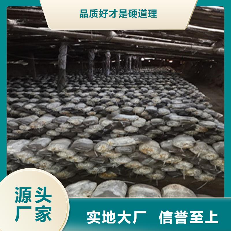 現(xiàn)貨供應(yīng)
孢子靈芝_誠(chéng)信企業(yè)