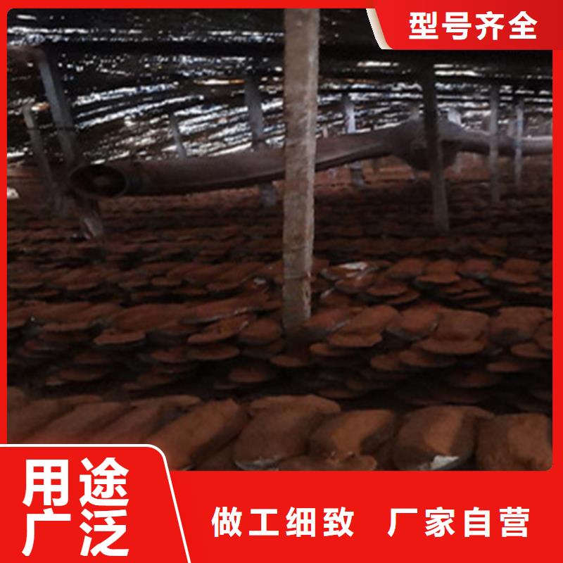 破壁灵芝孢子油品牌厂家