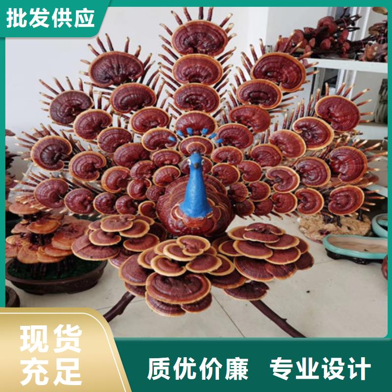 靈芝孢子粉廠家直銷_售后服務(wù)保障