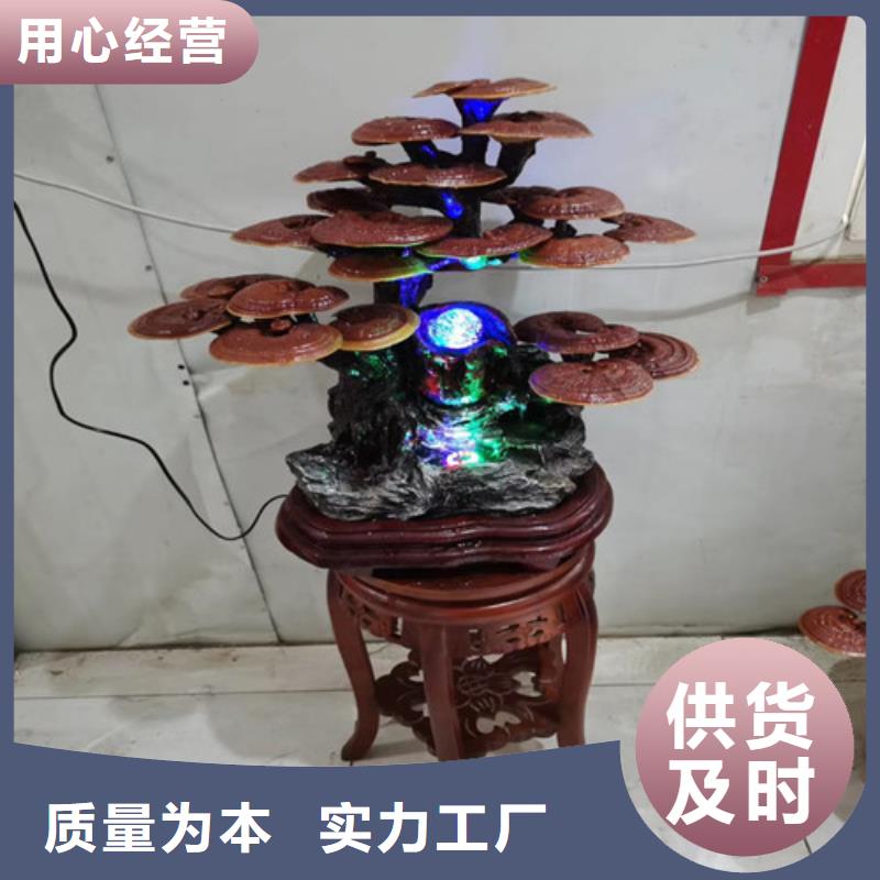 破壁靈芝孢子粉哪種好