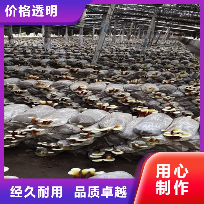 靈芝孢子粉產(chǎn)品齊全