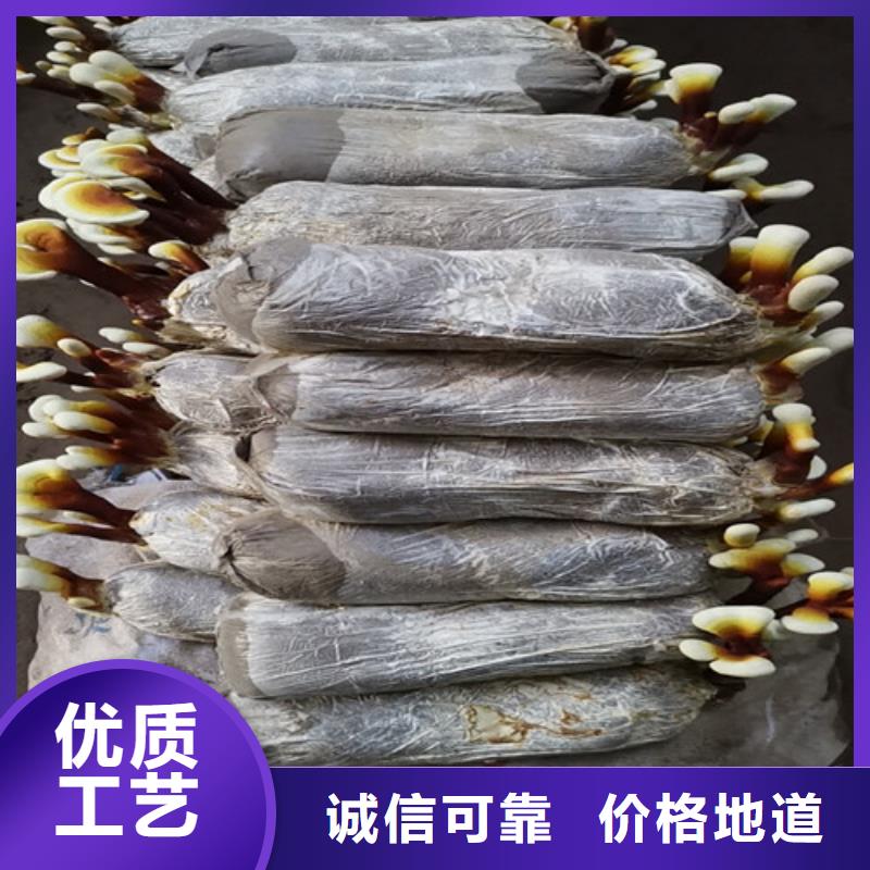 
孢子靈芝24小時(shí)發(fā)貨