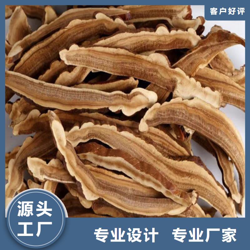 靈芝超微粉
認準云海靈芝種植專業(yè)合作社
