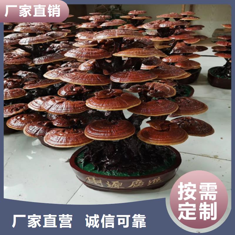 規(guī)格全的
孢子靈芝供貨商