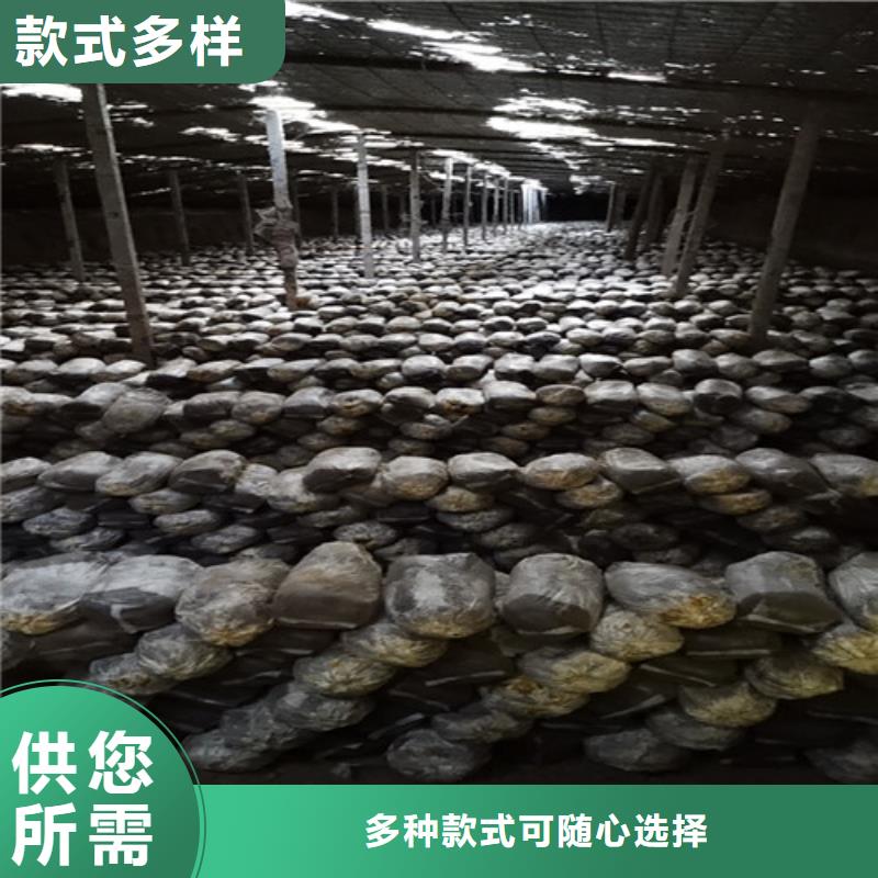 靈芝超微粉
_靈芝超微粉
公司